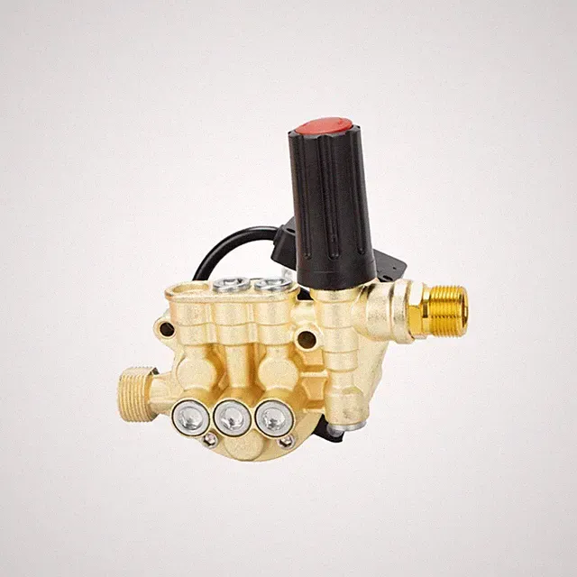 12-Plunger Pump Head Replacement for DIYers, Homeowners