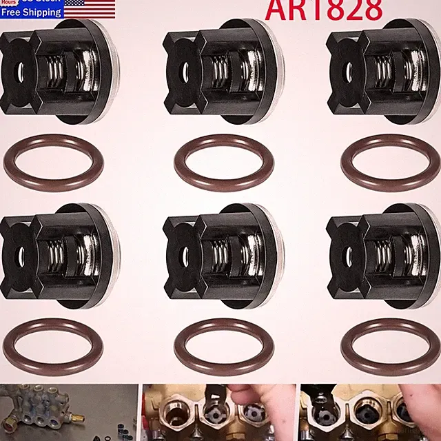 12PCS AR1828 Pressure Washer Pump Check Valves Kit For Annovi Reverberi 18mm