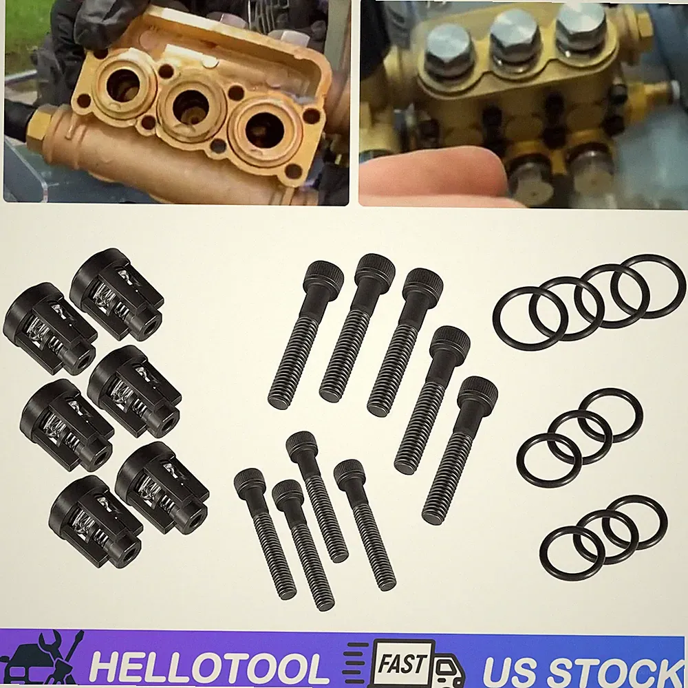 190591GS Pressure Washer Pump Valve Check Kit for Briggs Stratton Snapper 25 pcs