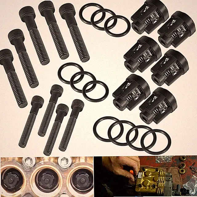 190591GS Pressure Washer Pump Valve Check Kit for Briggs Stratton Troy-Bilt 25PC