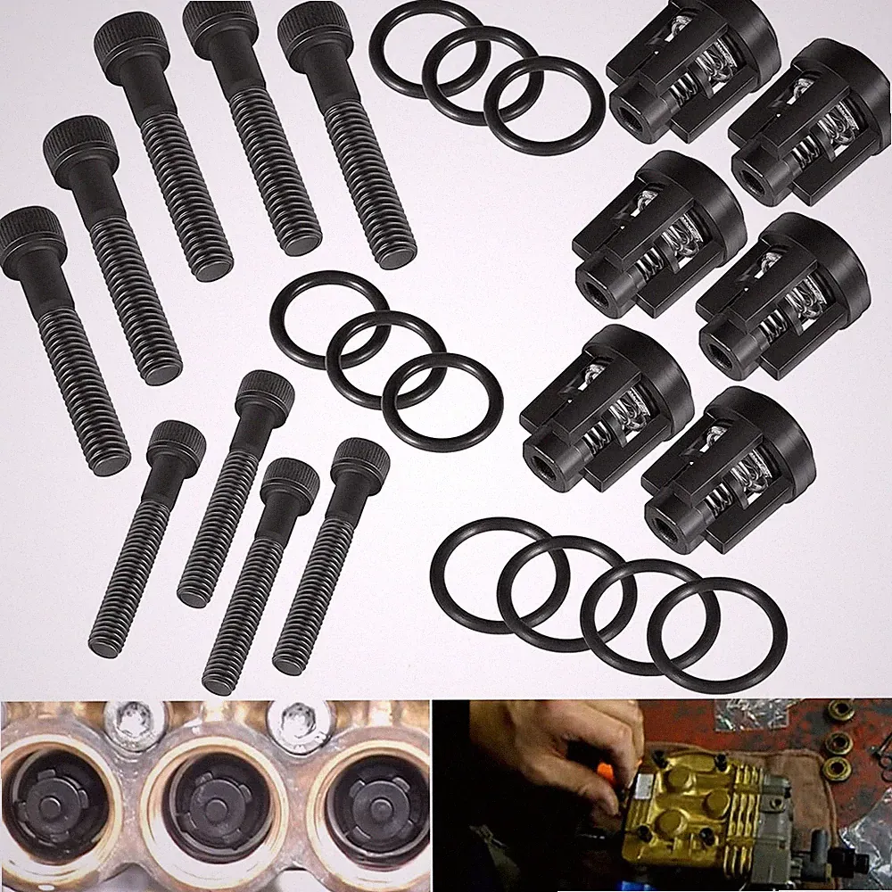 190591GS Pressure Washer Pump Valve Check Kit for Briggs Stratton Troy-Bilt