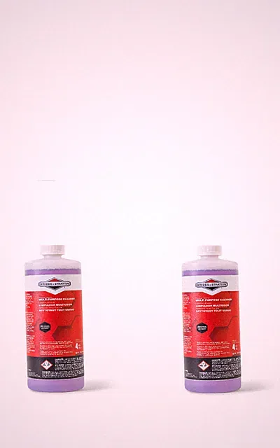 2 Briggs & Stratton Multi-Purpose Cleaner and Concentrate for Pressure Washers