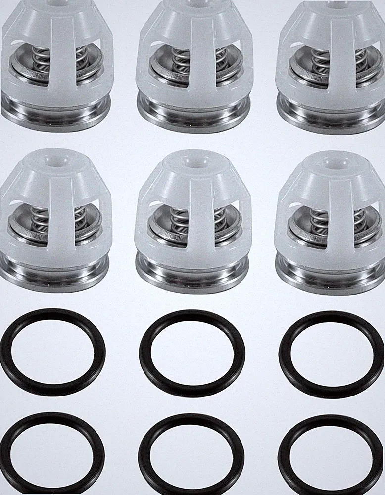 6 Sets AR2186 Pressure Washer Pump Check Valves Kit with O-Rings Fit for RCA RCV