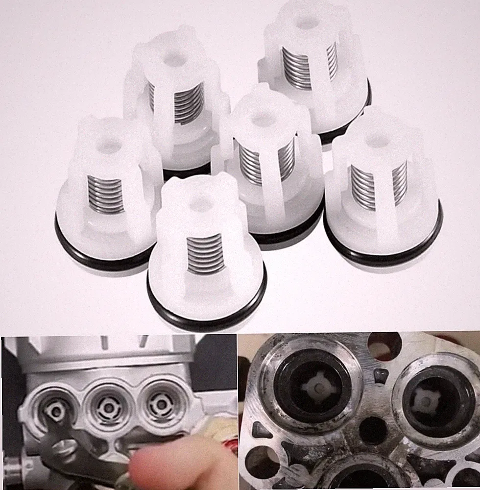 6Pcs AR2233 Pressure Washer Pump Check Valve Kit for Annovi Reverberi RMW Series