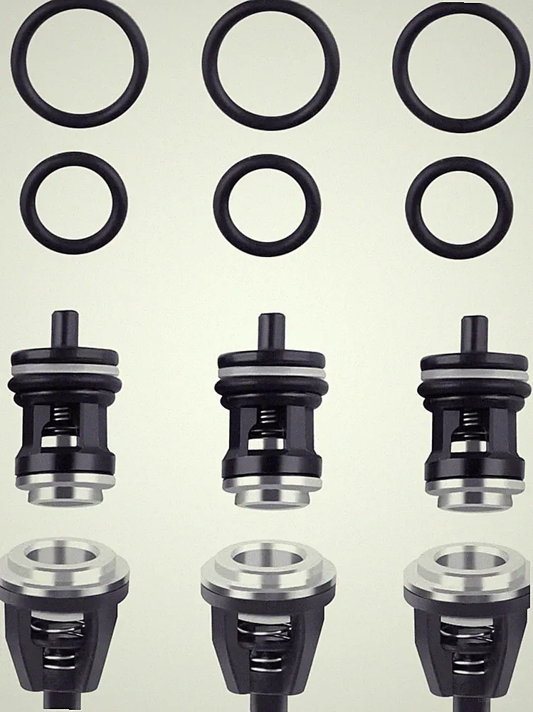 6Pcs Check Valve Repair Kit for AAA Simpson EW4040 7109267 Pressure Washer Pump