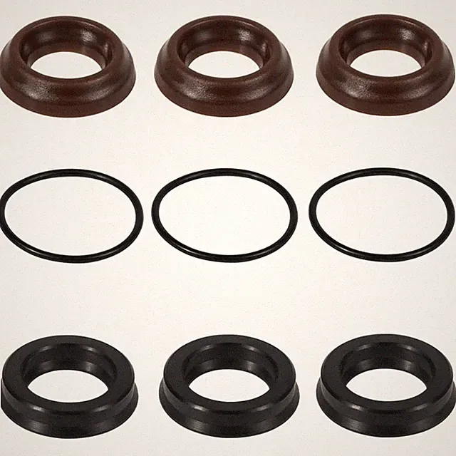 AR 1857 Packing Kit 18 mm XR for Annovi Reverberi Pump Water Seal Mi-T-M 70-0177