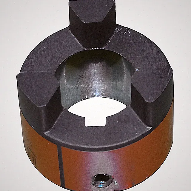 AR Annovi Reverberi LJ100138 Lovejoy L100 1-3/8" Motor Coupler 24mm Pump Shaft