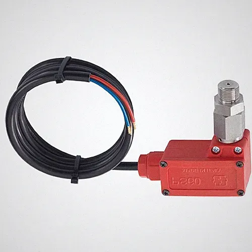 AR Annovi Reverberi PS6000 Pressure Switch 8700 PSI 3/8" Male Stainless Steel