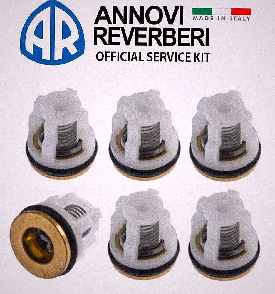 AR CHECK VALVE KIT 42123 for Annovi Reverberi RMW RMV SRMV Pressure Washer Pump