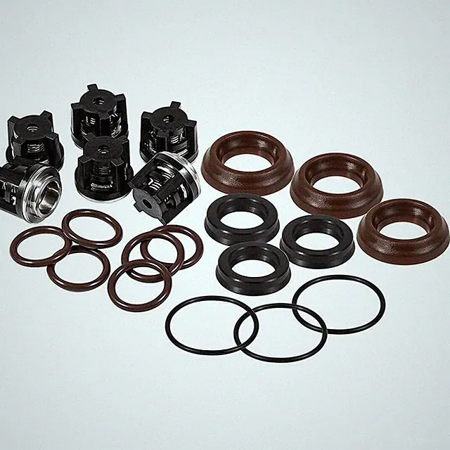 AR1828 Check Valve AR1857 Packing Kit For Annovi Reverberi 18mm XR RK RKA RKV