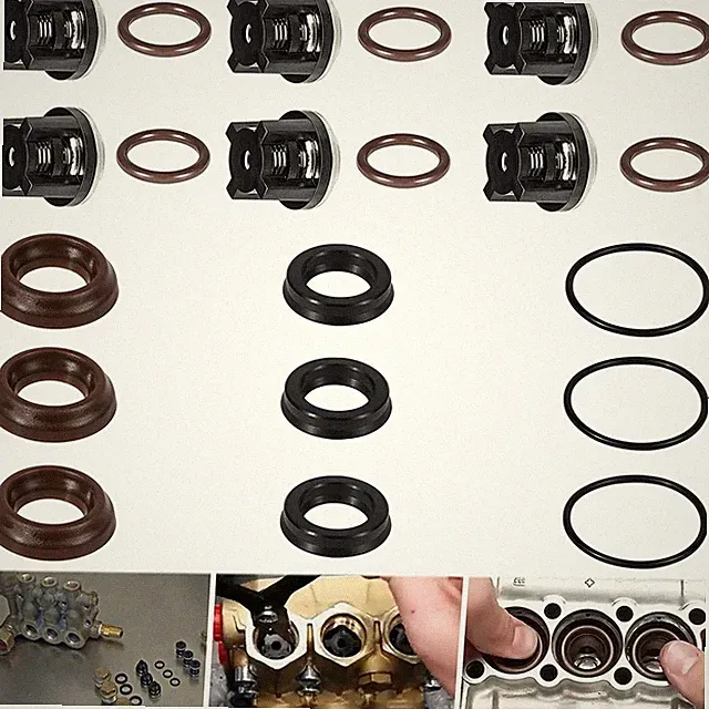 AR1828 Check Valve Kit & AR1857 Pressure Washer Packing Kit for Annovi Reverberi