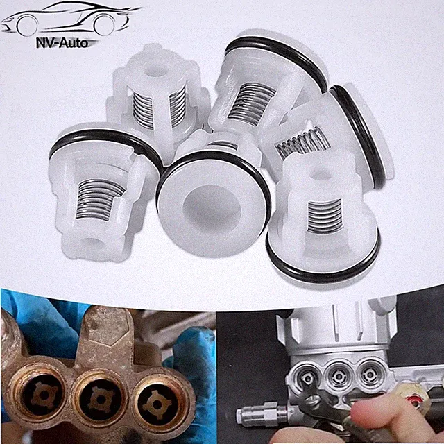 AR2233 Check Valve Kit for Annovi Reverberi RMV and RMW pressure pumps