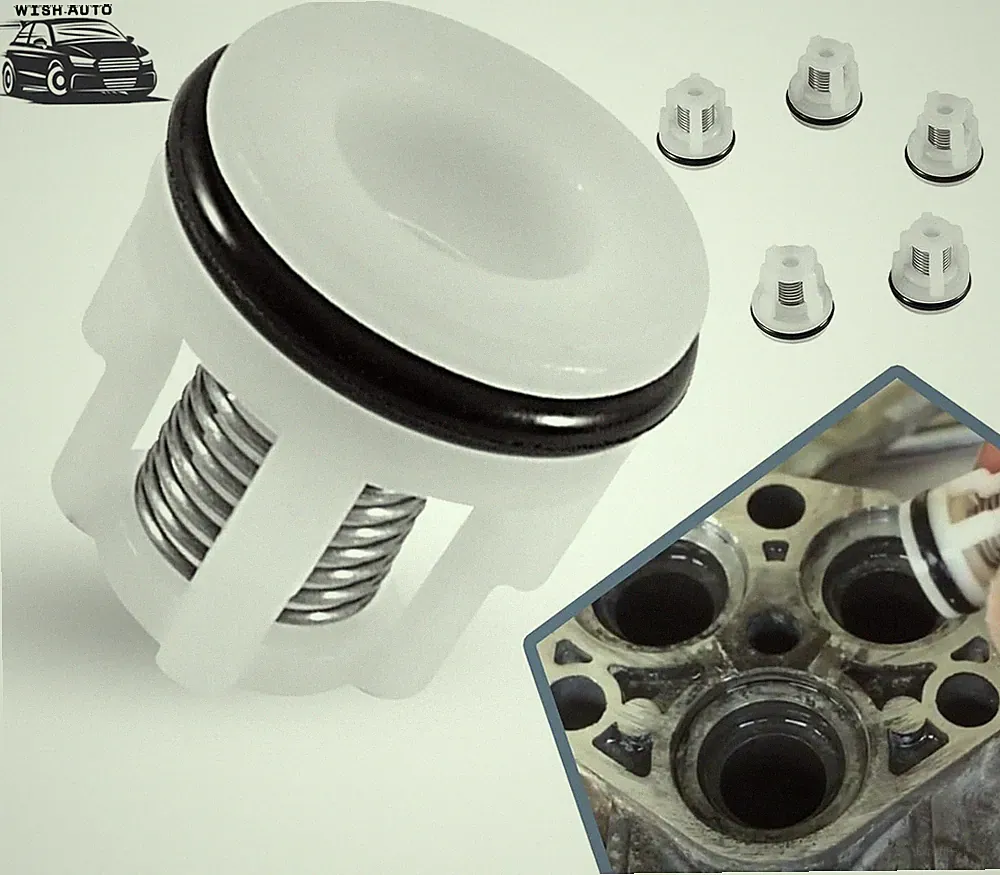 AR2233 Pressure Washer Pump Check Valve Kit for AR Annovi Reverberi RMW Series