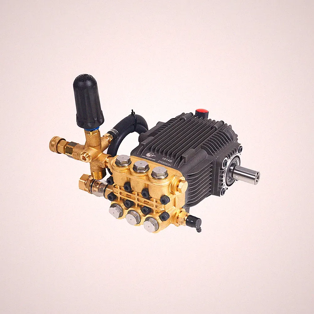 Canpump CE 3650 S/SP: 3600 psi @ 5 US gpm, 24 mm Shaft Pressure Washer Pump