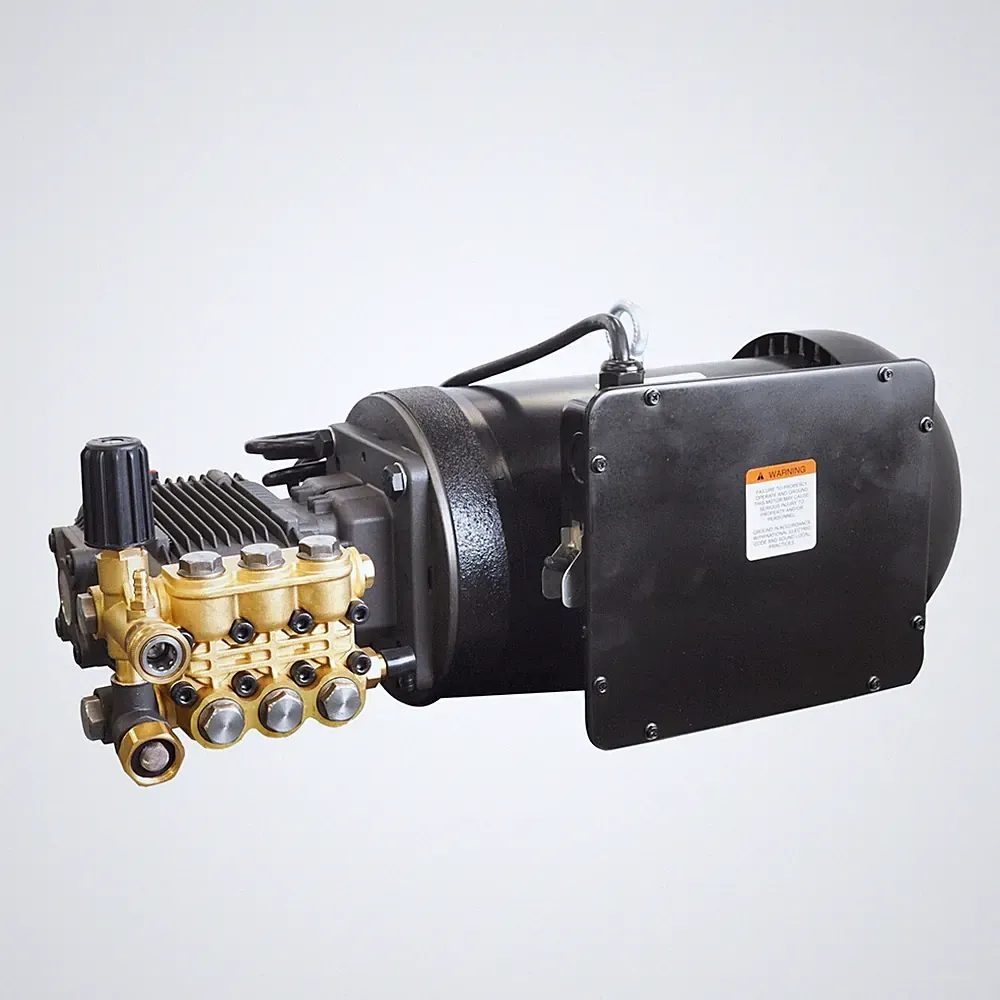 Canpump Electric Pressure Washer: 5 hp Half-Speed Motor 240 V, Triplex Pump