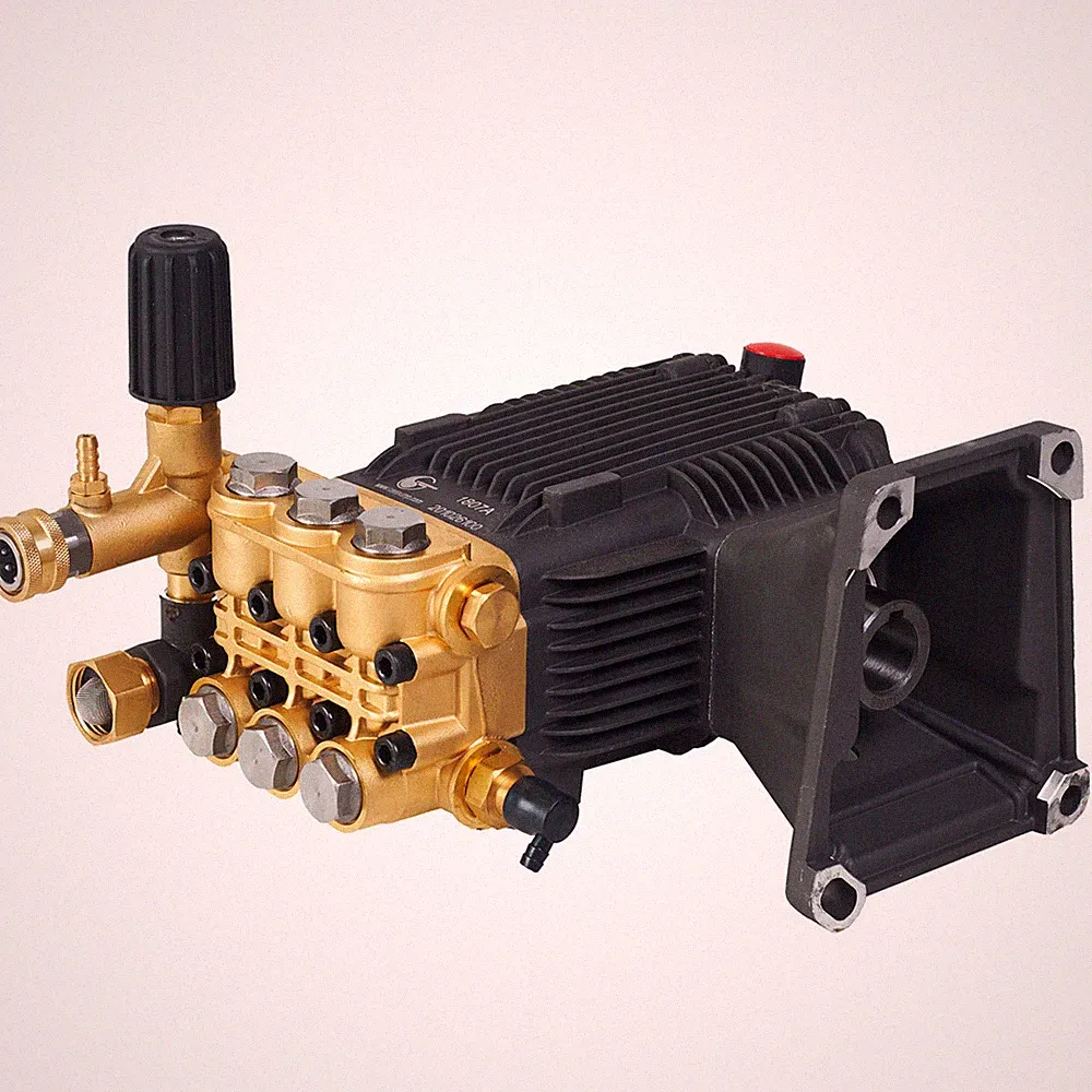 Canpump Pressure Washer Pump CE 3648 G/GP 3600 psi @4.8 gpm 1-in Hollow Shaft