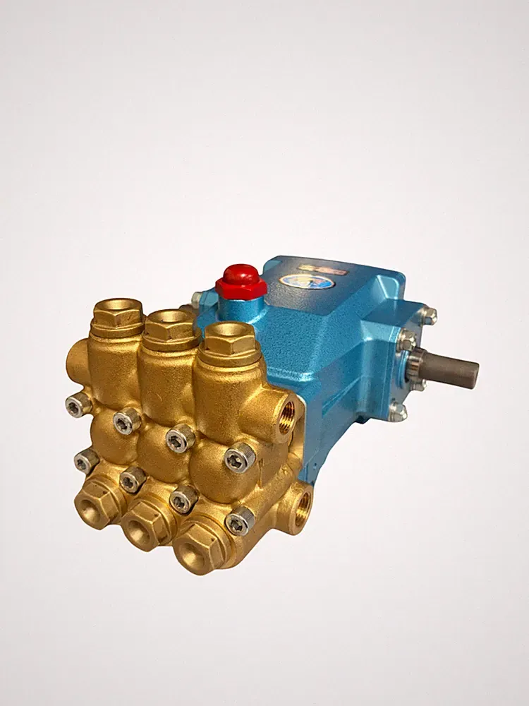 Cat Pumps Pressure Washer Pump - Model Number 5CP3120