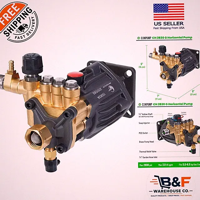 CH 2830 G: 2800 PSI Gas Powered Replacement Pump for Powerful Outdoor Cleaning
