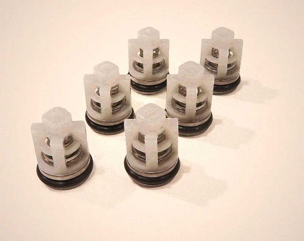 Check Valve Kit for Himore PWV(R)24/2.4H, PWV(R)25/2.3 Pressure Washer Pumps