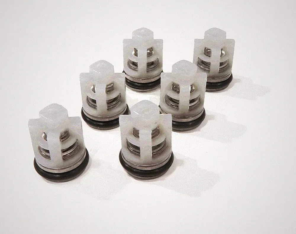 Check Valve Kit for Himore PWV(R)24/2.4H, PWV(R)25/2.3 Pressure Washer Pumps