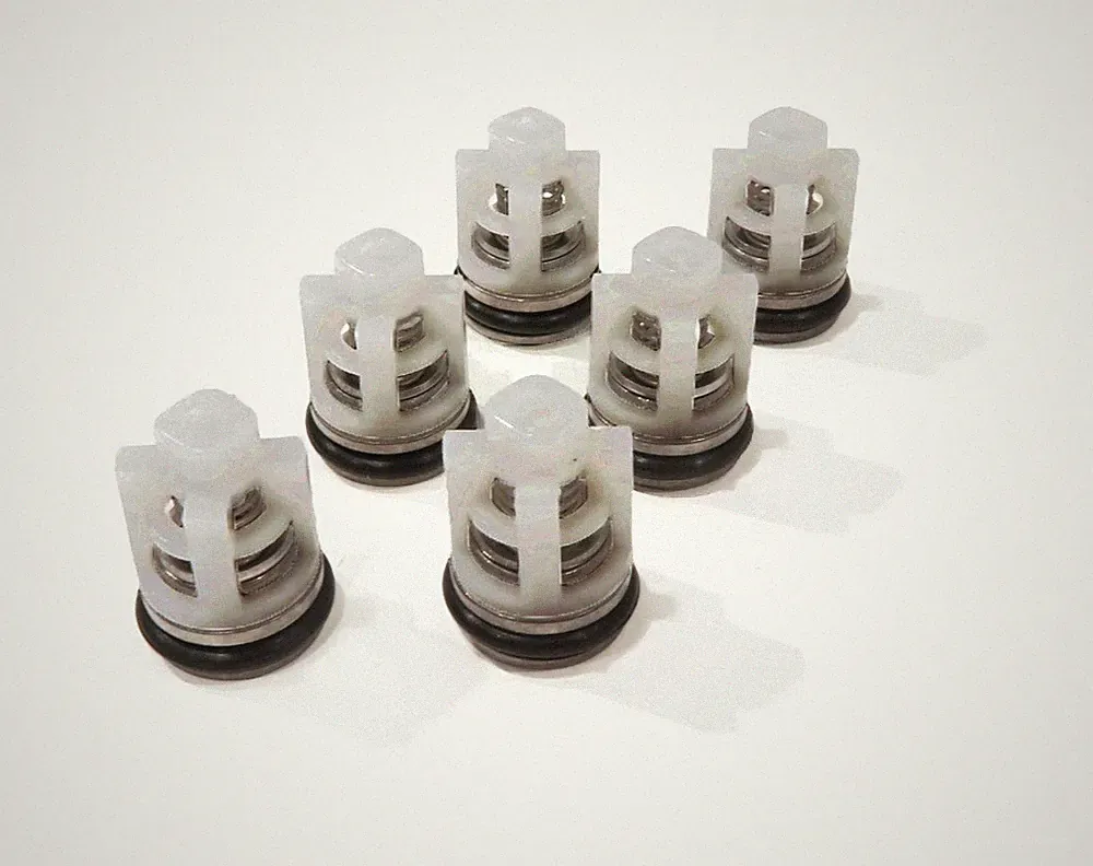 Check Valve Kit for Himore PWV(R)24/2.4H, PWV(R)25/2.3 Pressure Washer Pumps
