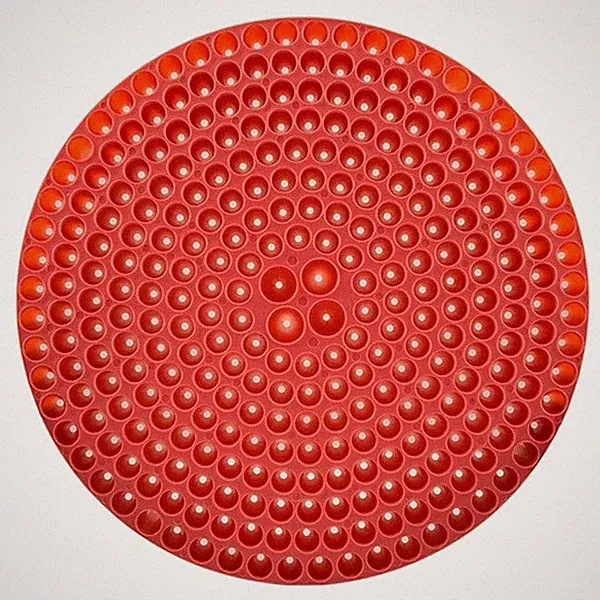 Chemical Guys DIRTTRAP02 Red Cyclone Dirt Trap Car Wash Bucket Insert