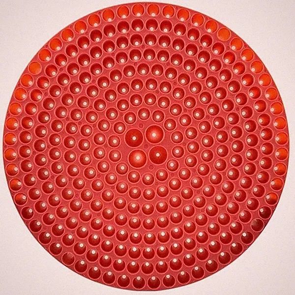 Chemical Guys DIRTTRAP02 Red Cyclone Dirt Trap Car Wash Bucket Insert