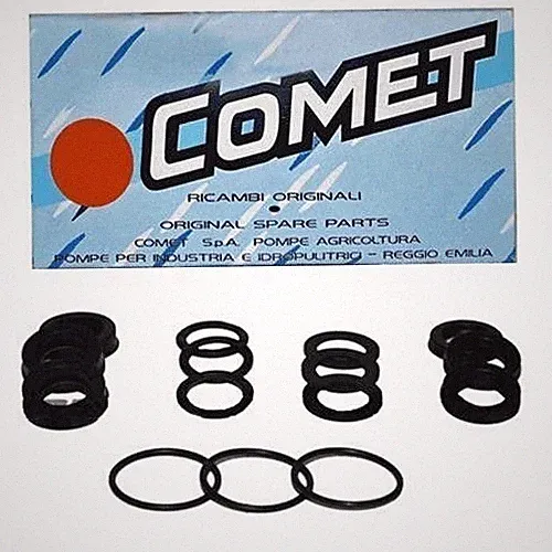 Comet 5019.0669.00 SEAL KIT HOT WATER for FW FW2 Pumps, OEM