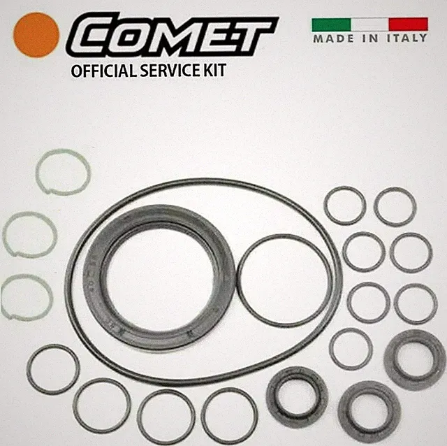 COMET Pump 5019.0659.00 Oil Seal Kit for GXD Series Pumps 5019065900