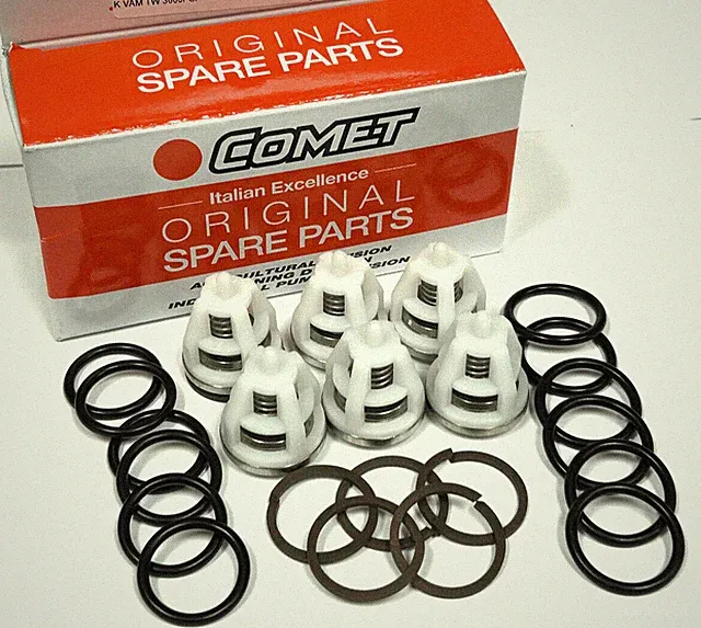 COMET Pump 5025.0020.00 Check Valve Kit TW Series Pumps 5025002000