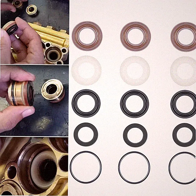 Comet ZWD Seal Repair Kit For Comet Pump ZWD2530G, ZWD3030G, ZWD4030G,ZWD4040G