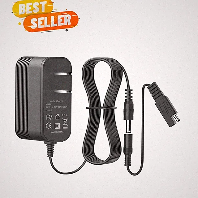 Efficient 12V Charger for Pressure Washers & Portable Generators, 5.9ft Cord