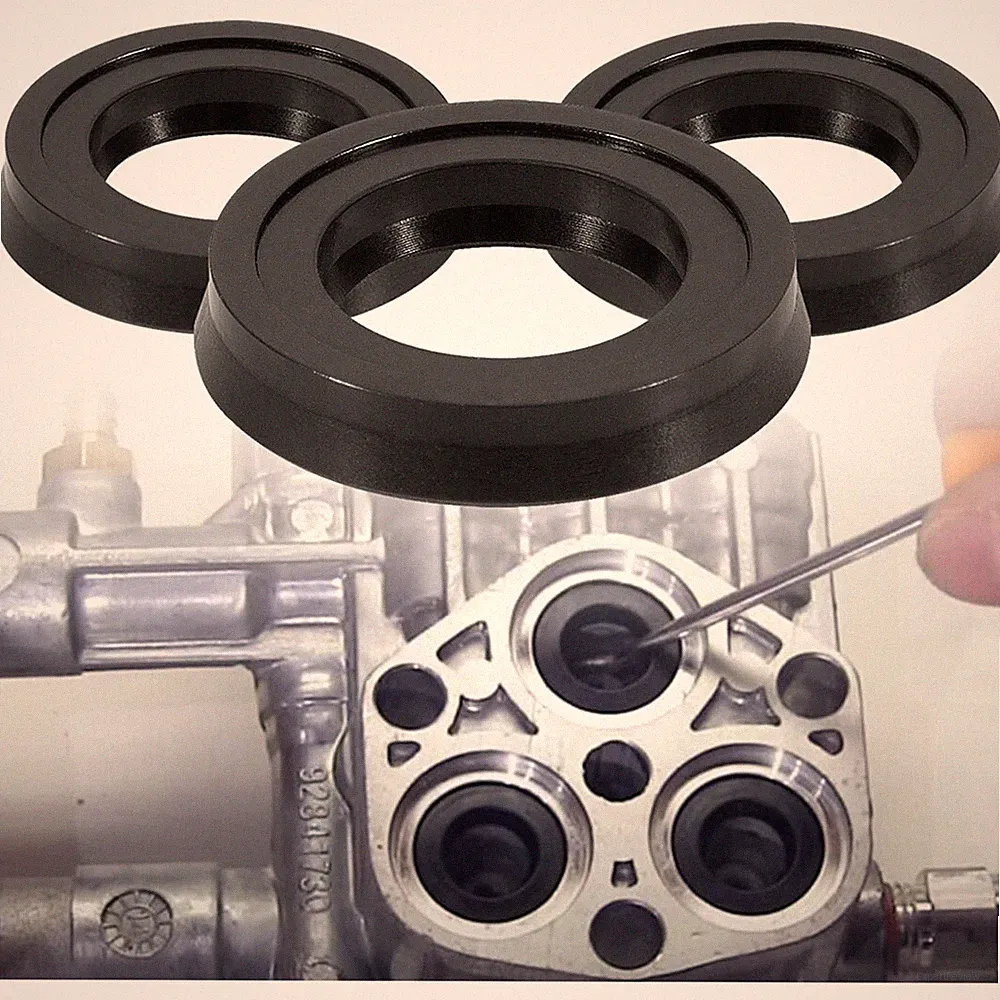 for Annovi Reverberi RMW2G24 Water Seal Repair Kit AR42122 Pressure Washer Pump
