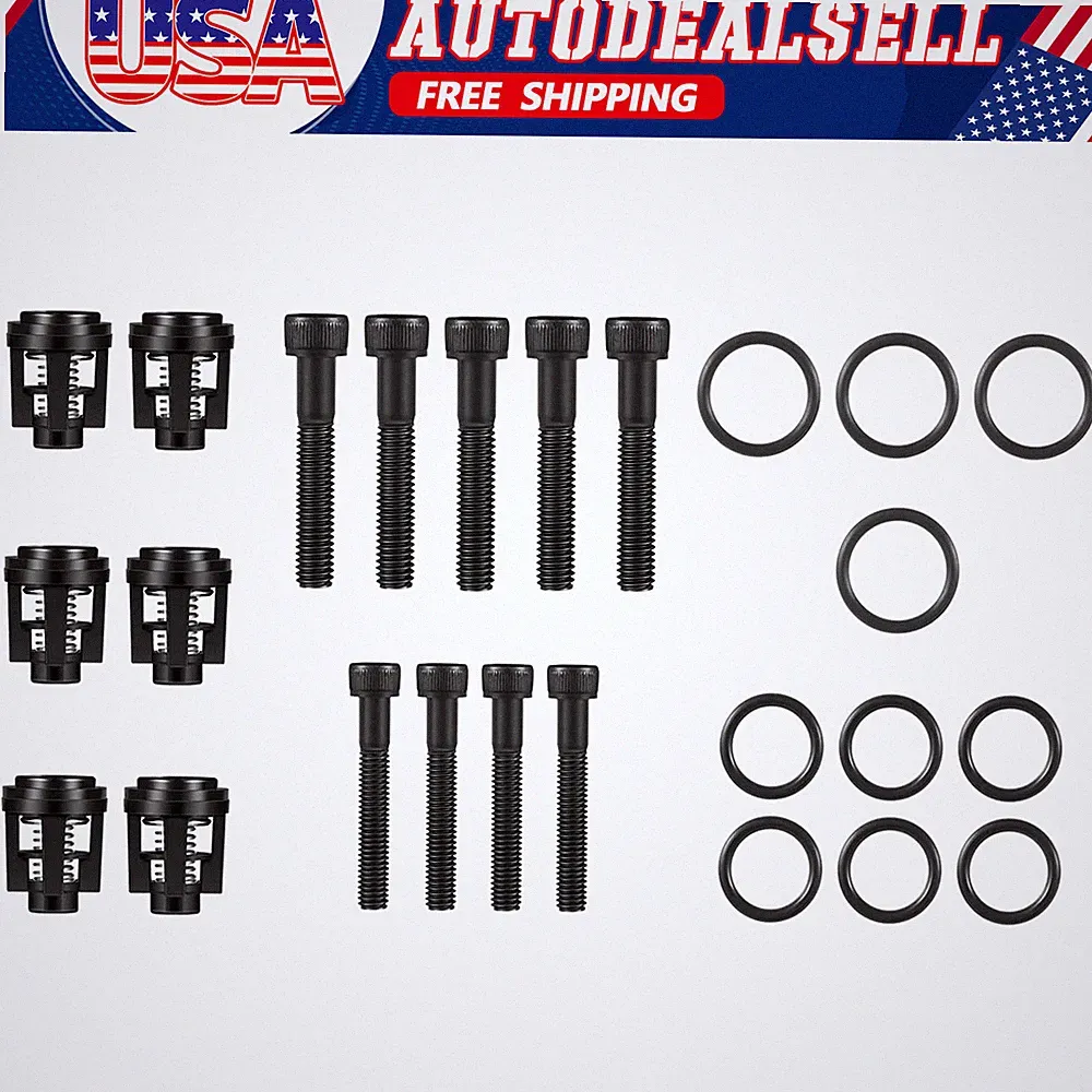 For Briggs and Stratton Craftsman Pressure Washer Pump Valve Check Kit 190591GS