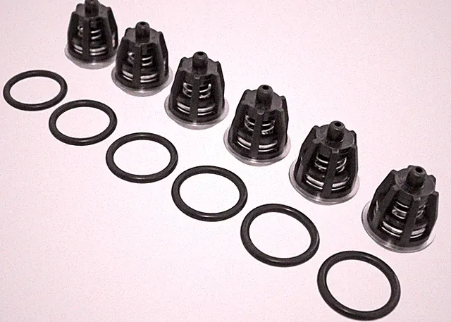 General Pump Check Valves Kit 1 K01 Interpump Mi-T-M 70-0009 700009 EZ TP Pumps