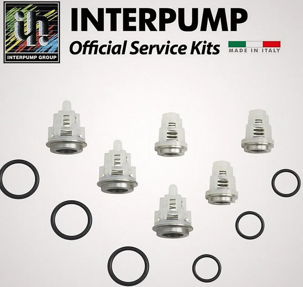 General Pump / Interpump Pressure Washer Check Valve Repair KIT 269 for EP Pumps