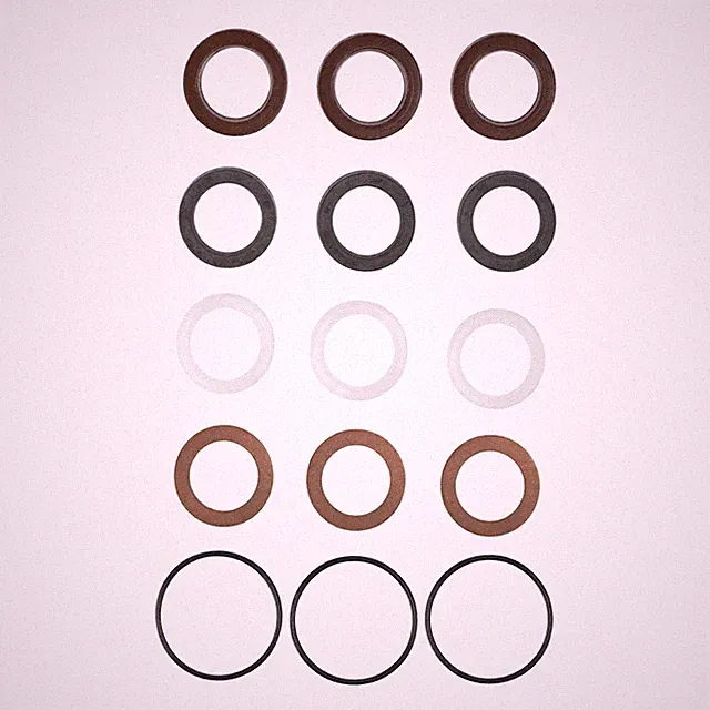 General Pump Kit 170 Seal Packing Kit 20mm - Interpump GP K170