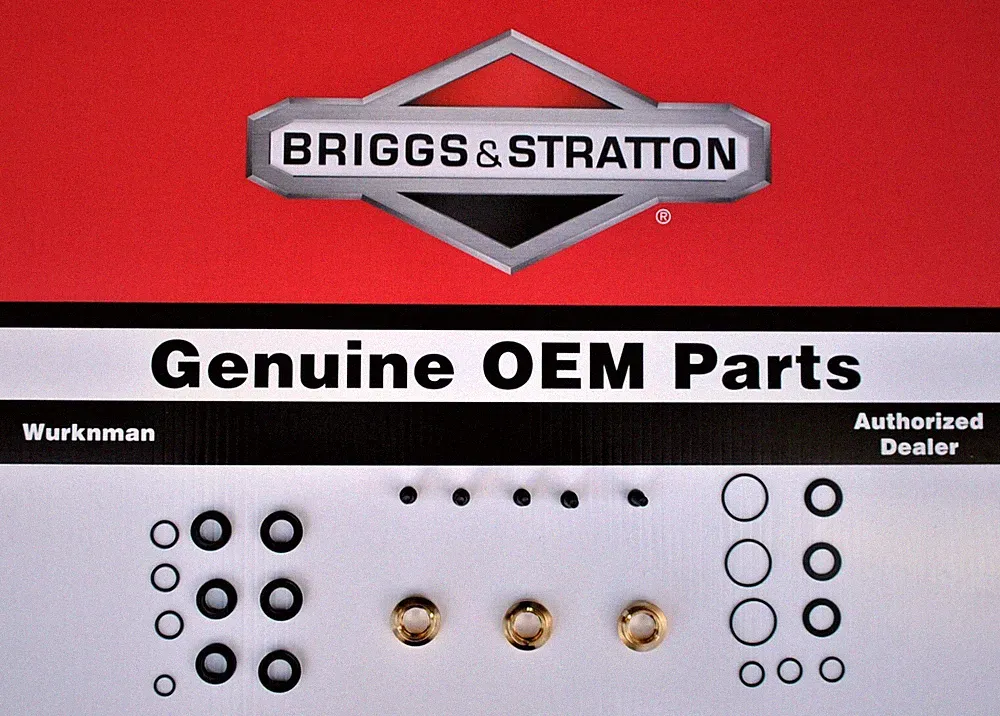 Genuine OEM Briggs & Stratton 190595GS Pressure Washer Seal Kit Set