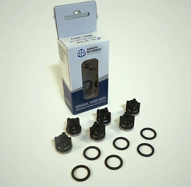 OEM Annovi Reverberi Check Valve Kit with O-Rings, AR-1828, AR1828, AR 1828