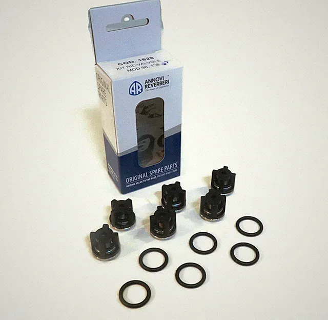 OEM Annovi Reverberi Check Valve Kit with O-Rings, AR889052 & AR880830 Pump