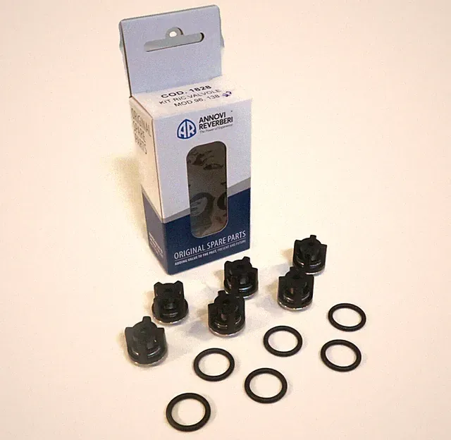 OEM Annovi Reverberi Check Valve Kit with O-Rings, AR889052 & AR880830 Pump
