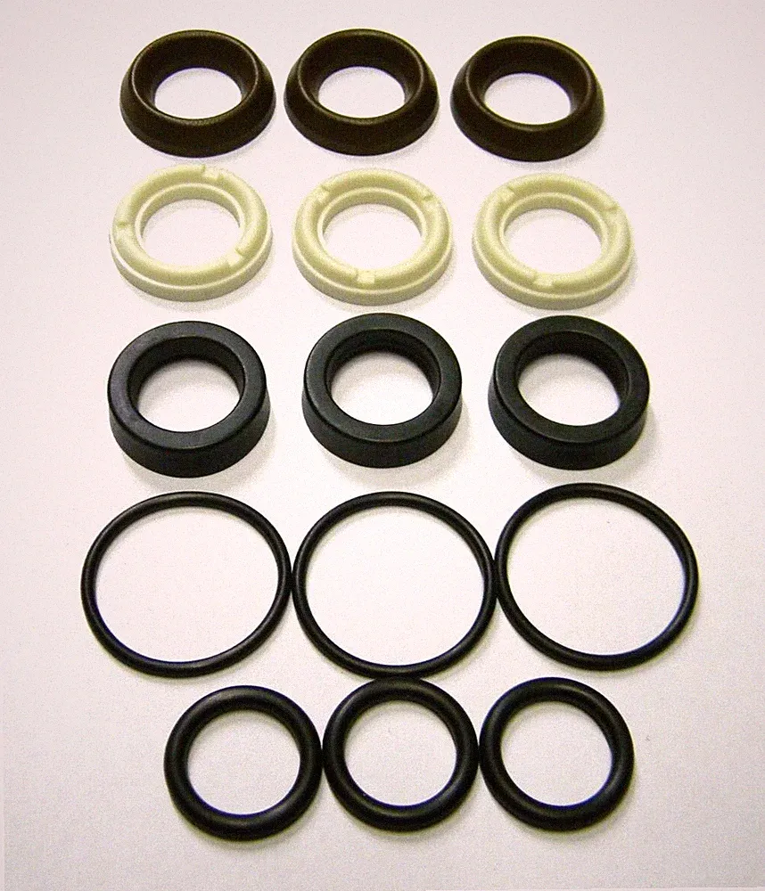 OEM AR Annovi Reverberi AR2189 Water Seal Kit RSV Pressure Washer Pumps AR 2189