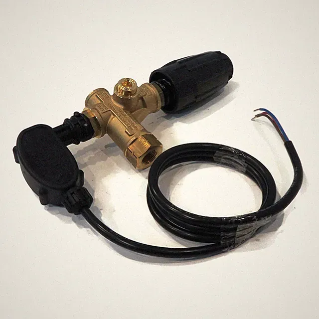 OEM AR Pressure Washer Unloader Valve w/ Switch for Comet 8108253200, 8116256400
