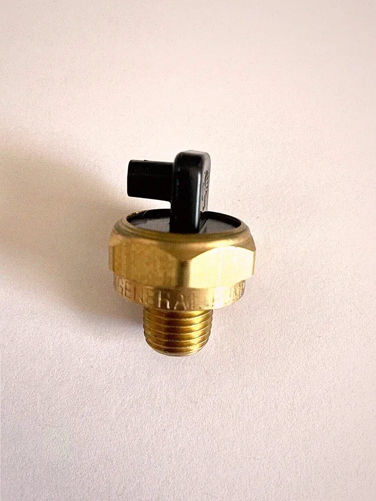 Pressure Washer 1/4" MPT General Pump Thermal Relief Valve