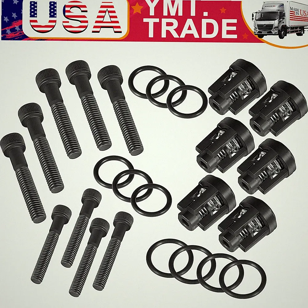 Pressure Washer Pump Valve Check Kit for Briggs and Stratton Craftsman 190591GS