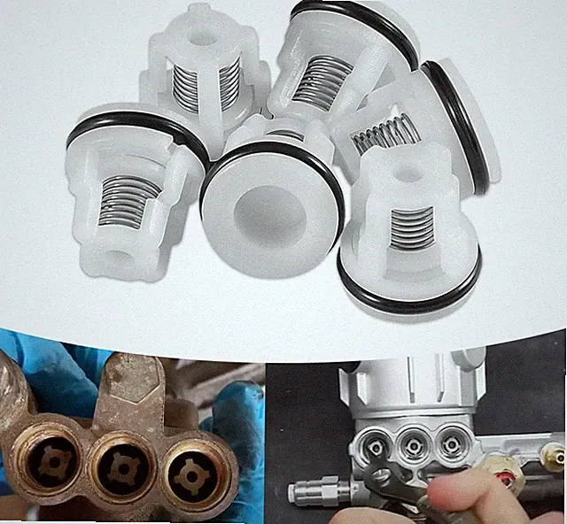 Pump Check Valve Kit Pressure Washer RMW RMV RMW2.2G24 Husky HU80722 Rebuild Fix