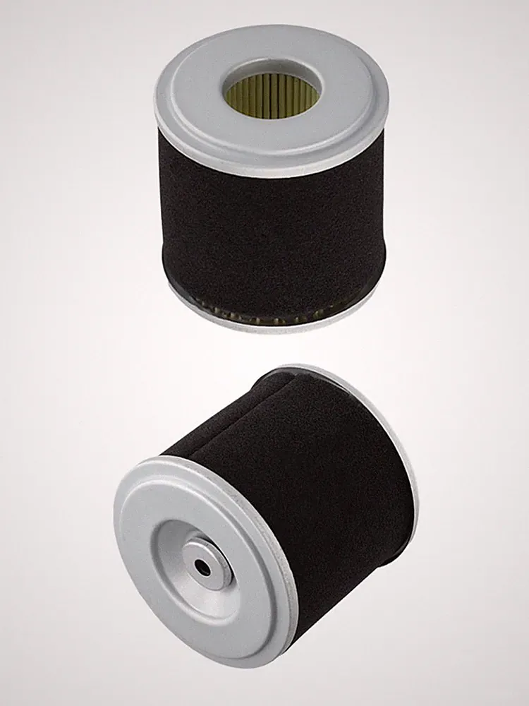 Replace and for RENEW with 2 Air Filter Replacements for 212cc Pressure Washer