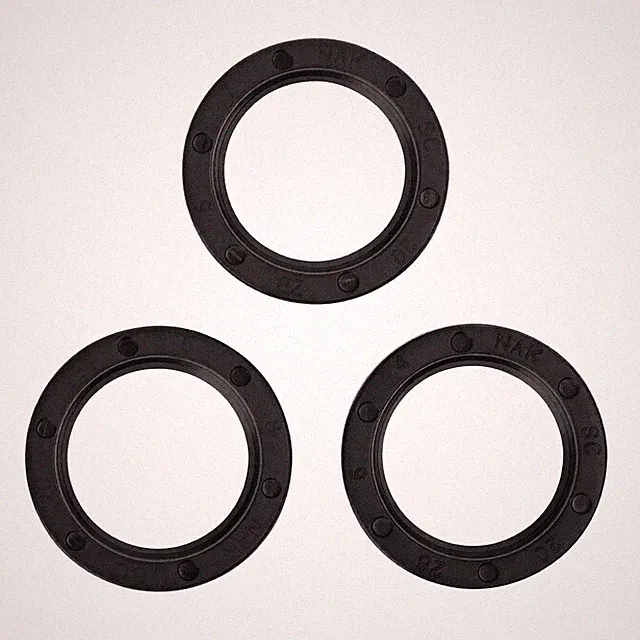 Replaces 5019.0675.00, 0019.0095.00 Comet Pump Oil Seal Kit
