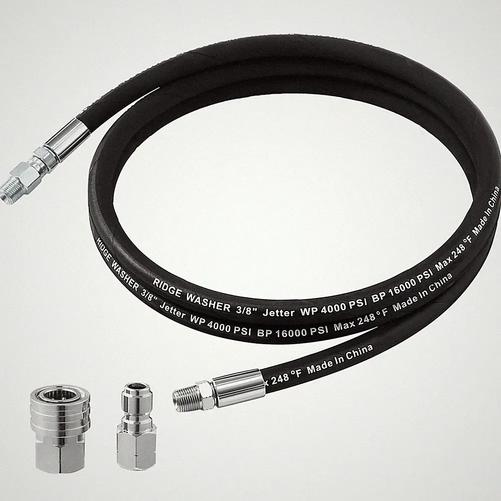 Ridge Washer pressure washer hose