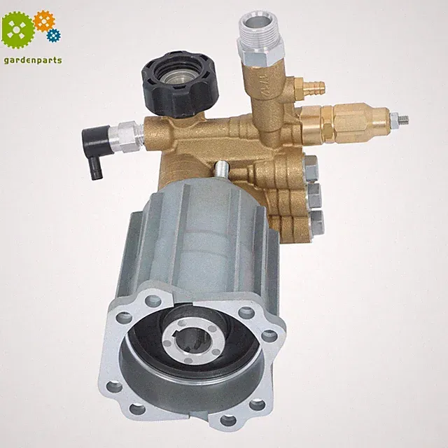 RMV25G30D-EZ 3/4 Inch Shaft 2800 PSI Pressure Washer Pump For 919762500 Pump
